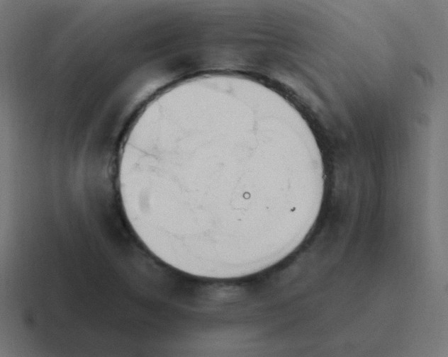 X0000116821314200912312008