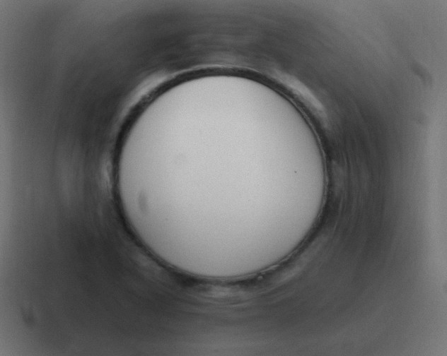 X0000116821318200912312008