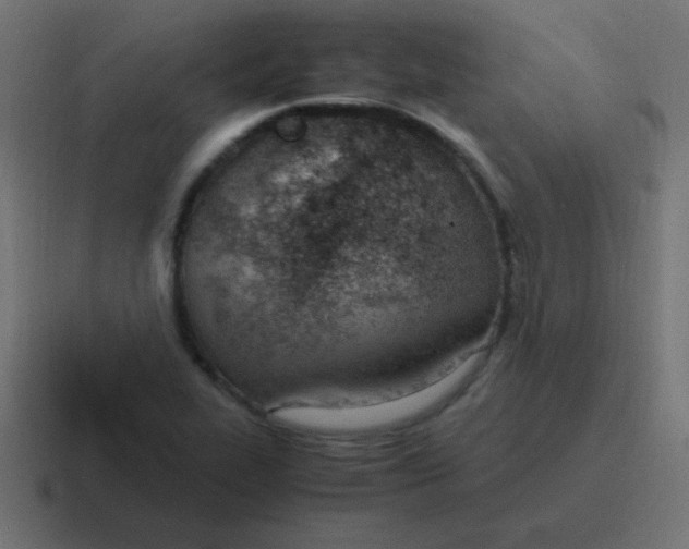 X0000116821319200912312008