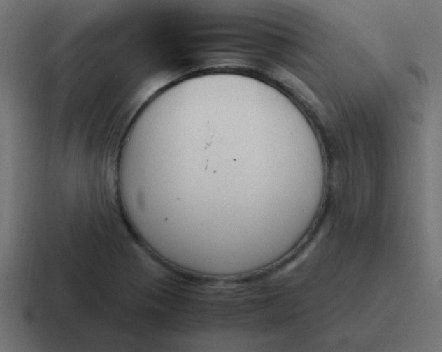 X0000116821321200912312008