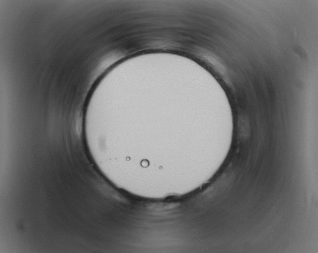 X0000116821322200912312008