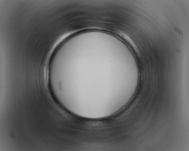 X0000116821323200912312008