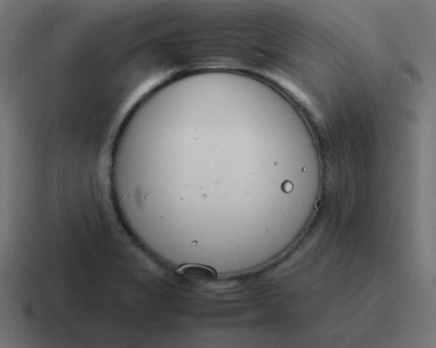 X0000116821325200912312008