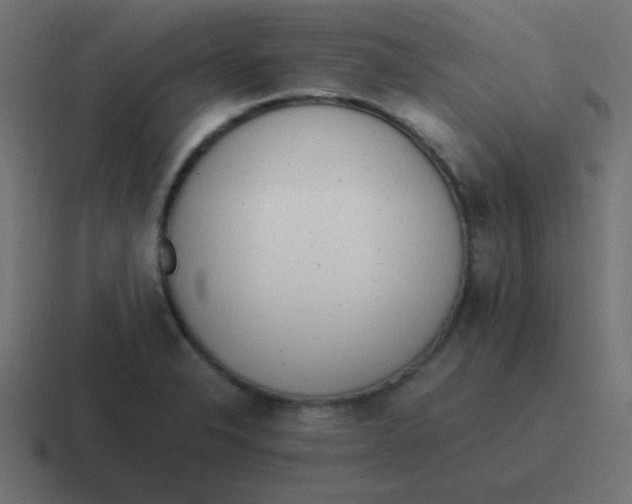 X0000116821326200912312008