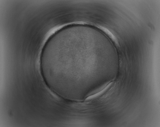 X0000116821327200912312008