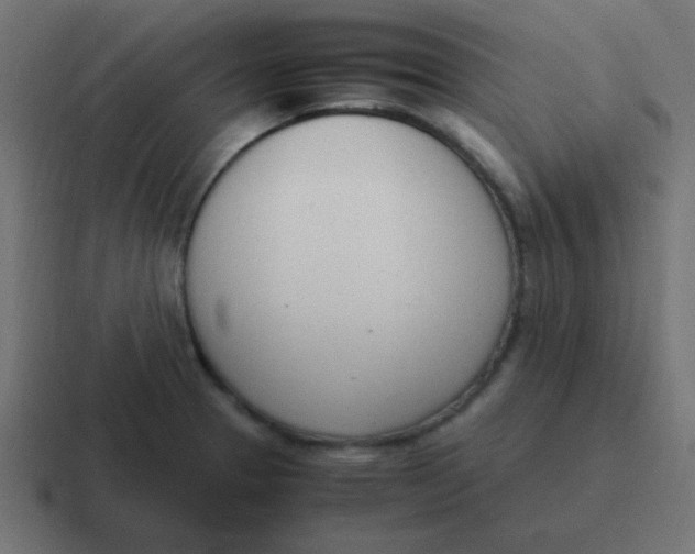 X0000116821329200912312008