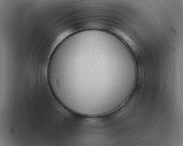 X0000116821330200912312008