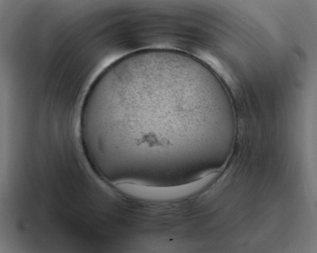 X0000116821331200912312008