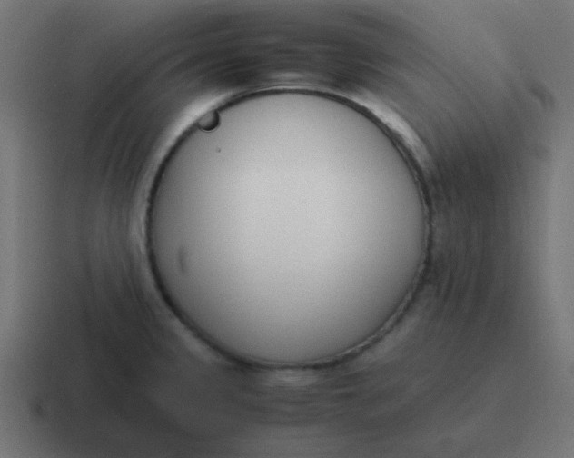 X0000116821333200912312008