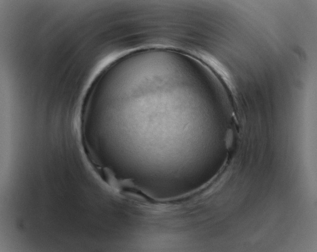 X0000116821334200912312008