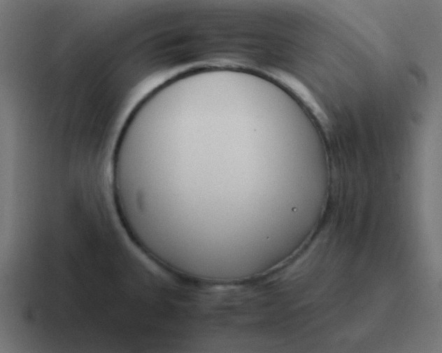 X0000116821335200912312008