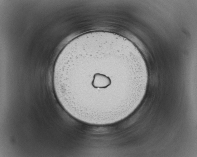 X0000116821338200912312008