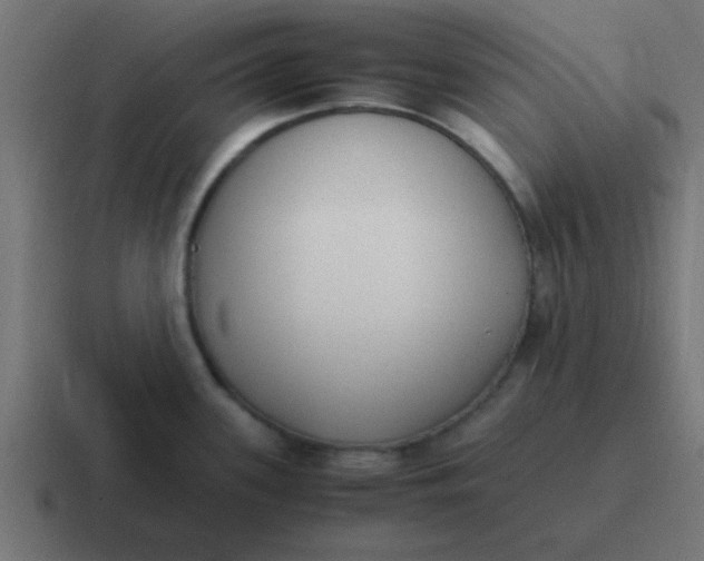 X0000116821339200912312008