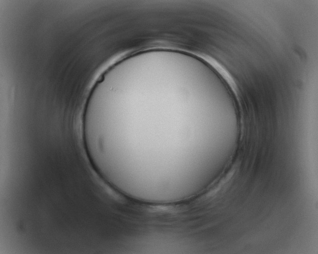 X0000116821341200912312008