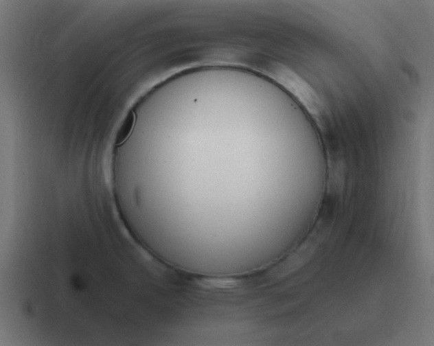 X0000116821342200912312008