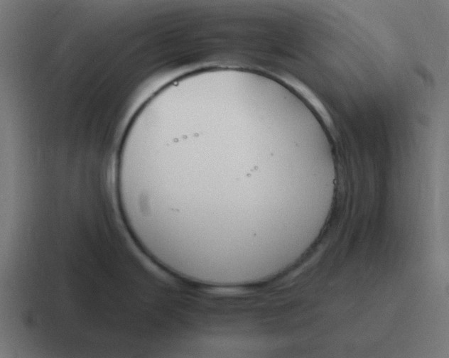 X0000116821343200912312008