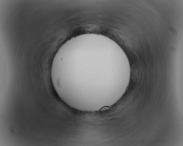 X0000116821345200912312008