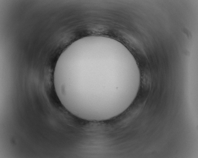 X0000116821346200912312008