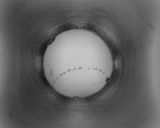 X0000116821347200912312008