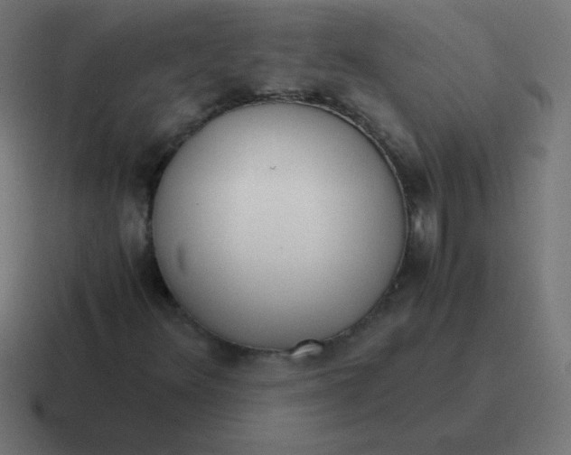 X0000116821348200912312007