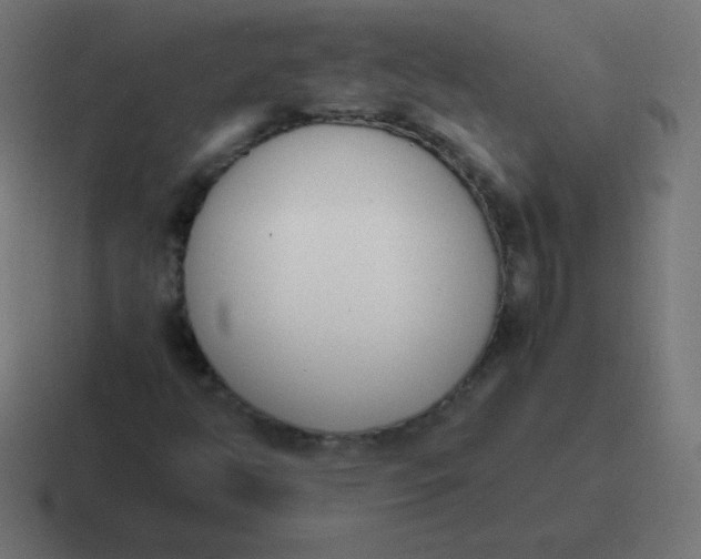 X0000116821350200912312007