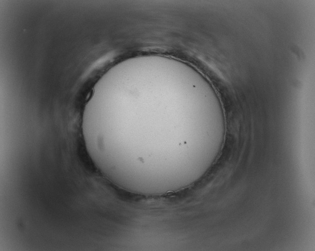 X0000116821351200912312007