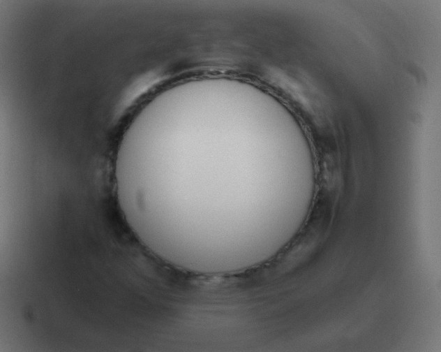 X0000116821352200912312007