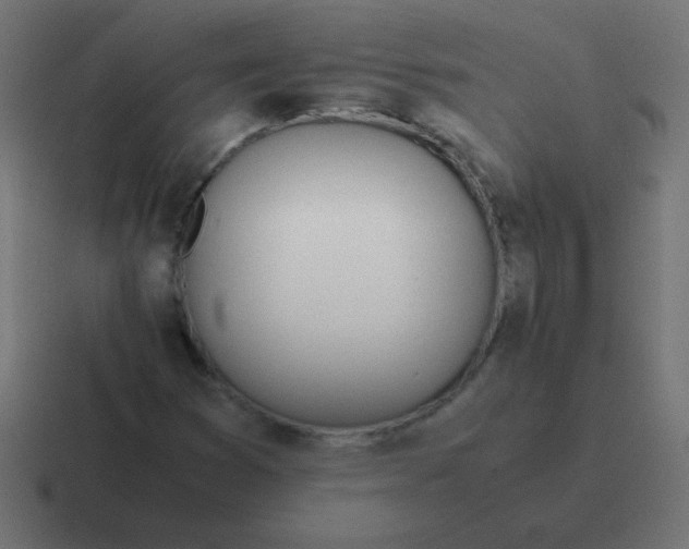 X0000116821353200912312007