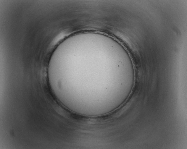 X0000116821355200912312007