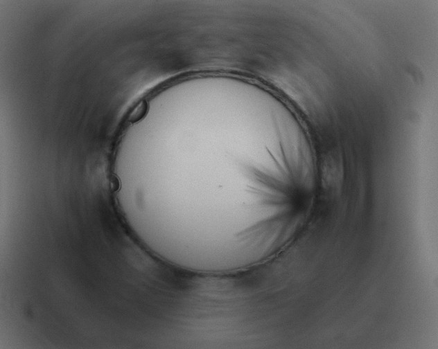 X0000116821356200912312007