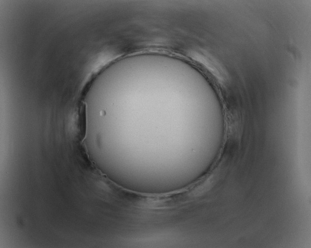 X0000116821357200912312007