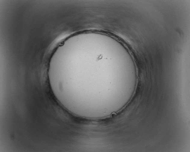 X0000116821359200912312007