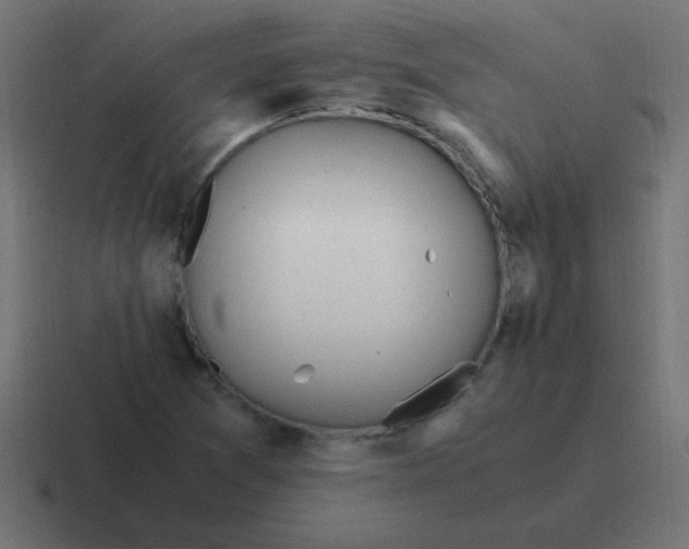 X0000116821361200912312007