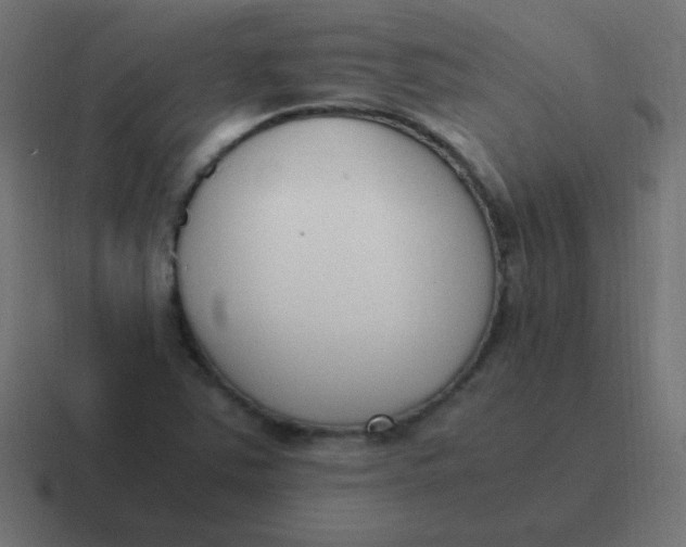 X0000116821363200912312007