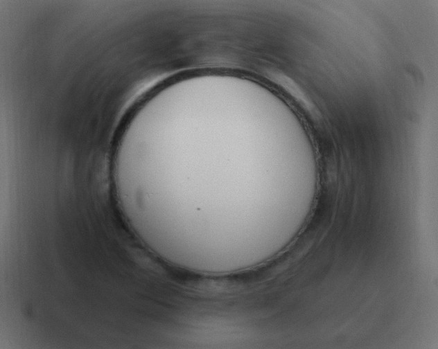 X0000116821364200912312007