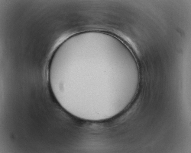 X0000116821365200912312007