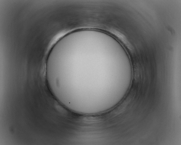 X0000116821366200912312007