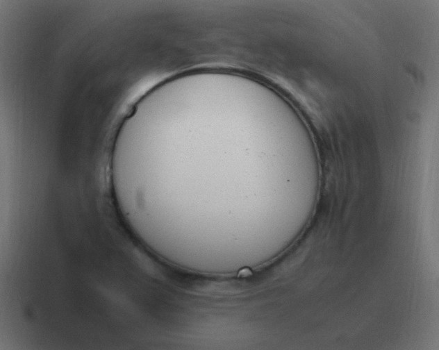 X0000116821367200912312007