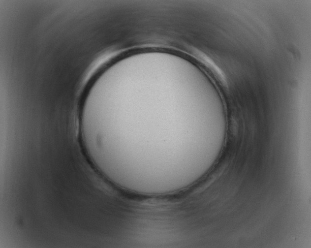 X0000116821368200912312007