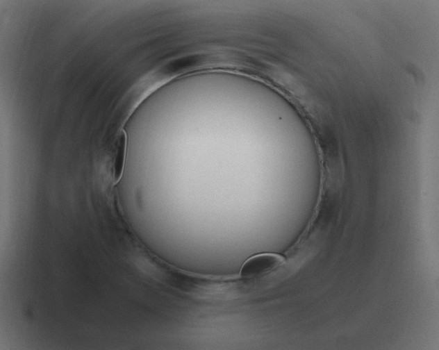 X0000116821369200912312007