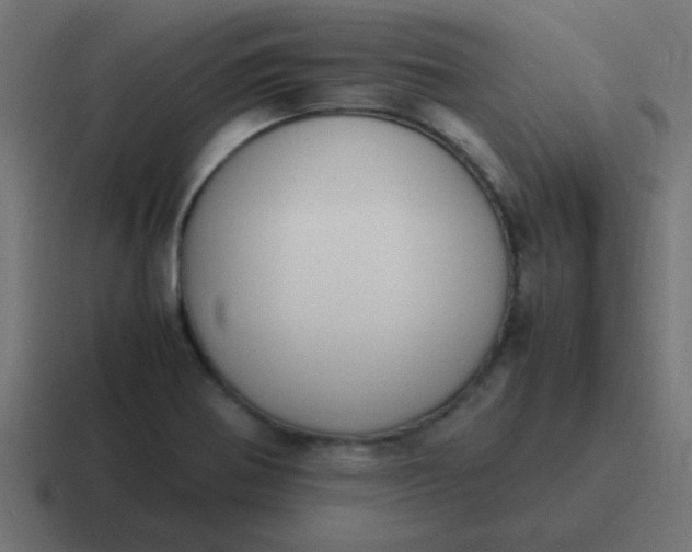 X0000116821370200912312007