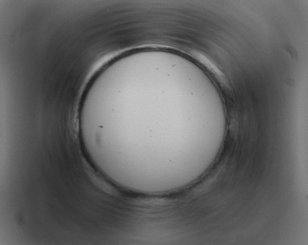 X0000116821372200912312007