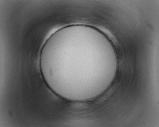 X0000116821374200912312007