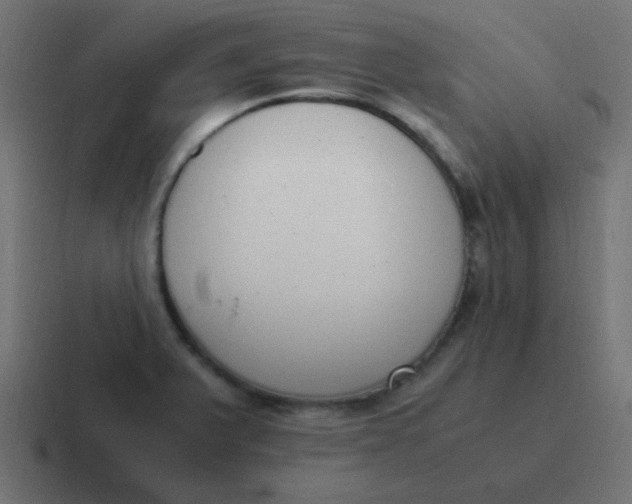 X0000116821375200912312007