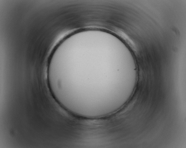 X0000116821376200912312007