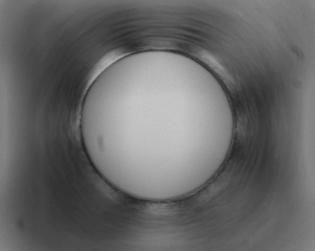 X0000116821378200912312007