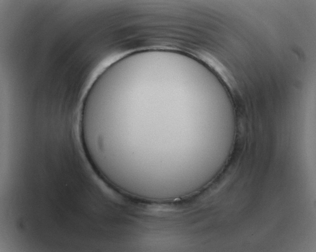 X0000116821379200912312007