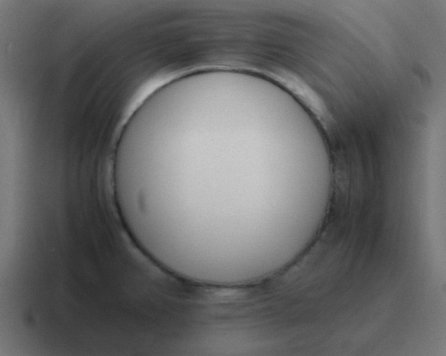 X0000116821382200912312007