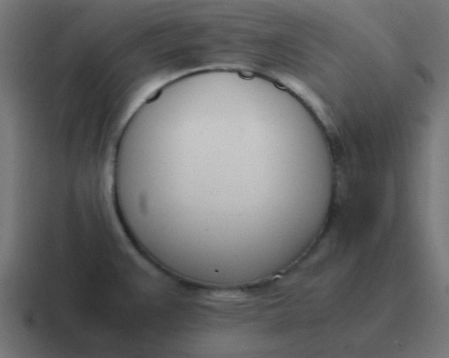 X0000116821383200912312007