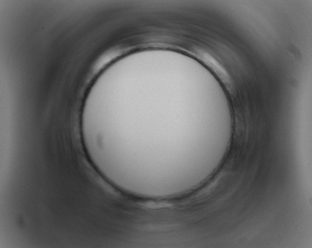 X0000116821384200912312007